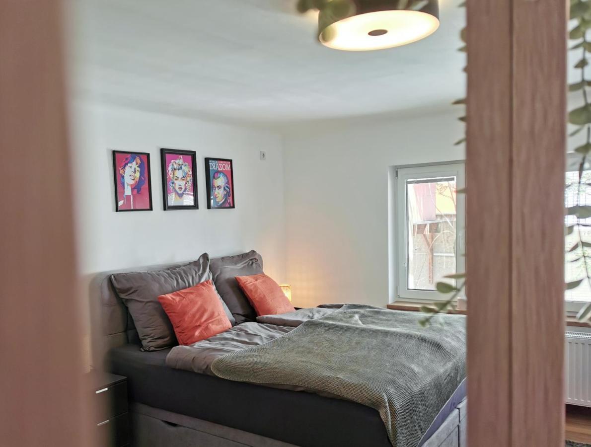 קלגנפורט Neues City Center Piano Appartement Mit Netflix מראה חיצוני תמונה